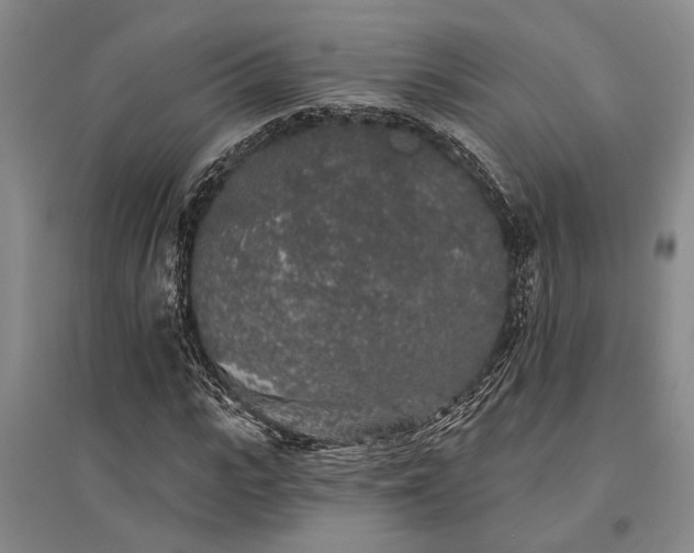 X0000095510919200712141420