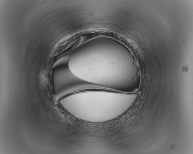 X0000095510920200712141420