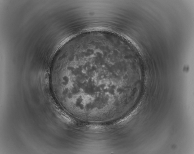 X0000095510921200712141420