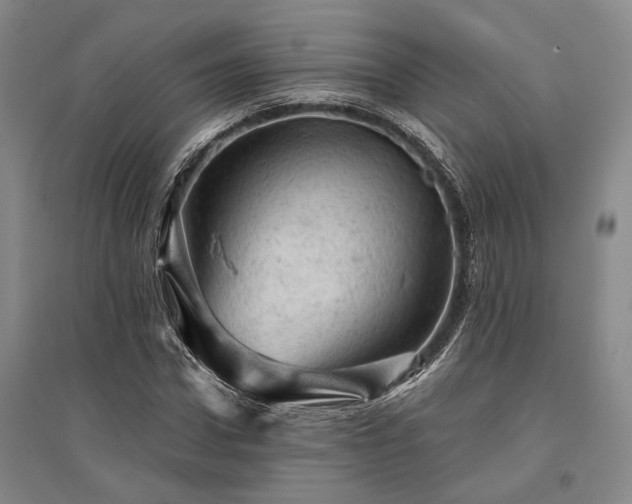 X0000095510922200712141420