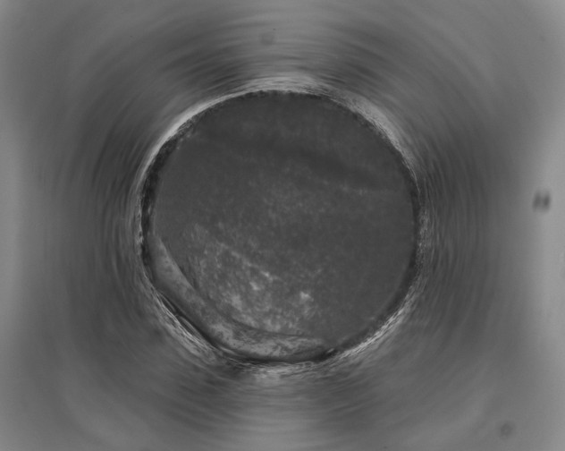 X0000095510923200712141420