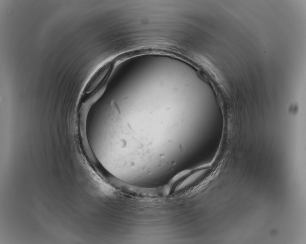 X0000095510924200712141420