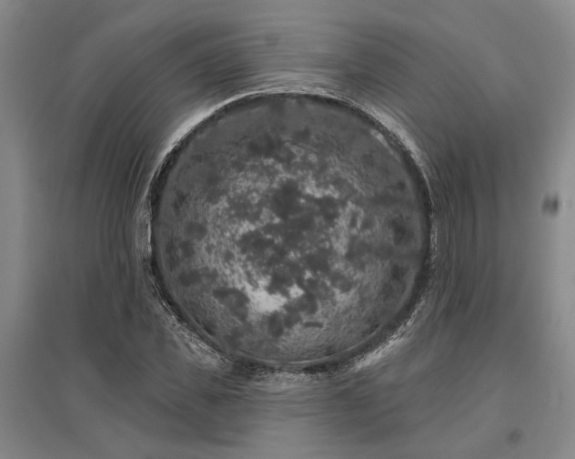 X0000095510925200712141420