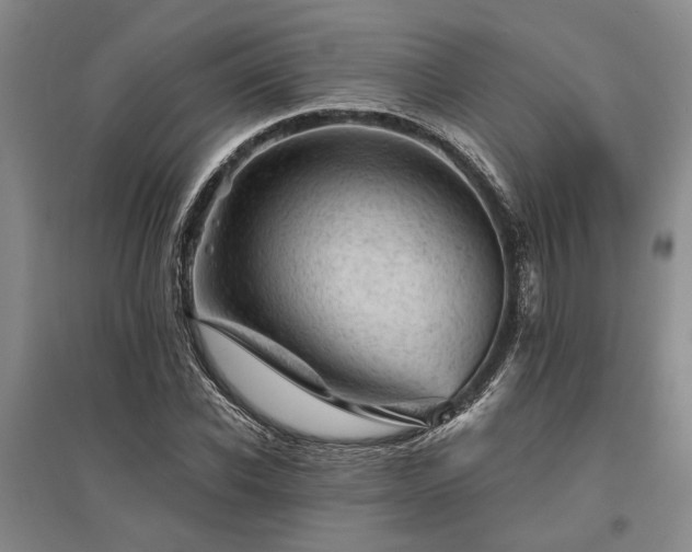 X0000095510926200712141420