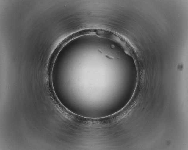 X0000095510927200712141420