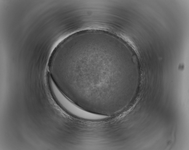 X0000095510928200712141420