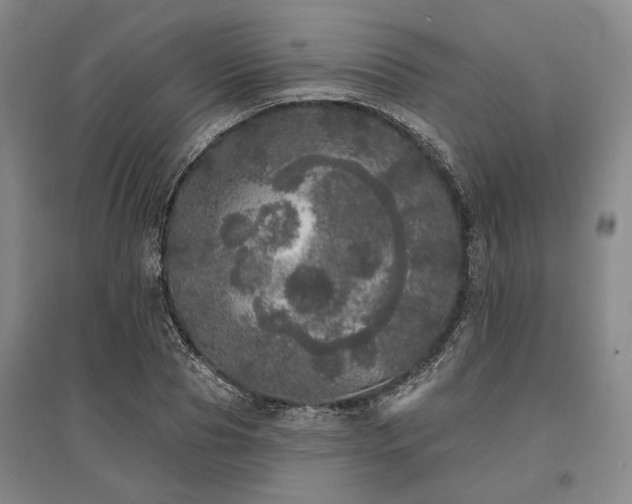 X0000095510929200712141420
