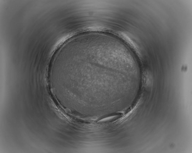 X0000095510930200712141420