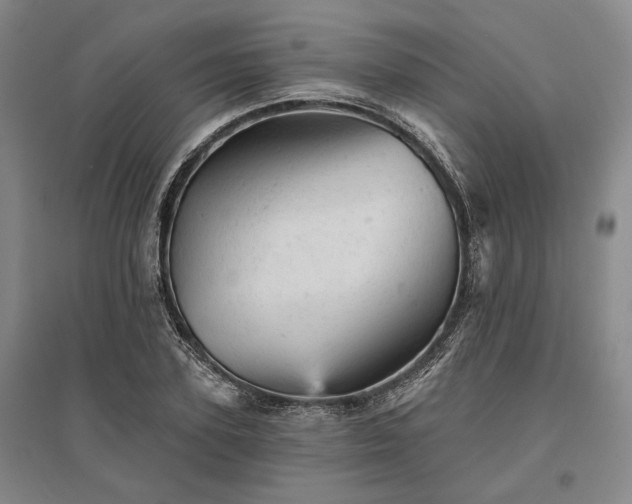X0000095510931200712141420