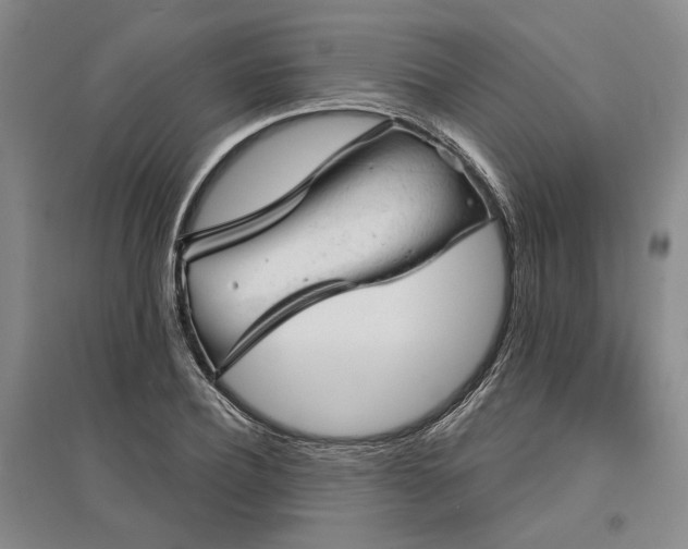 X0000095510932200712141420