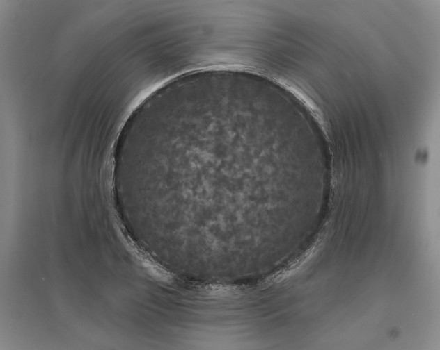 X0000095510933200712141420