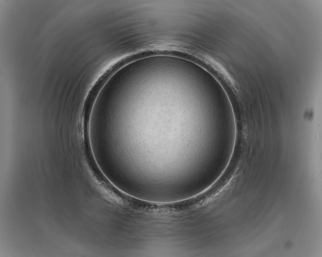 X0000095510934200712141420