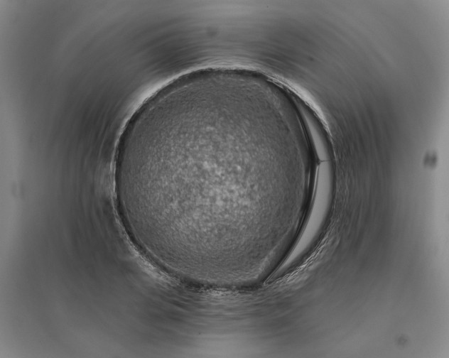 X0000095510935200712141420