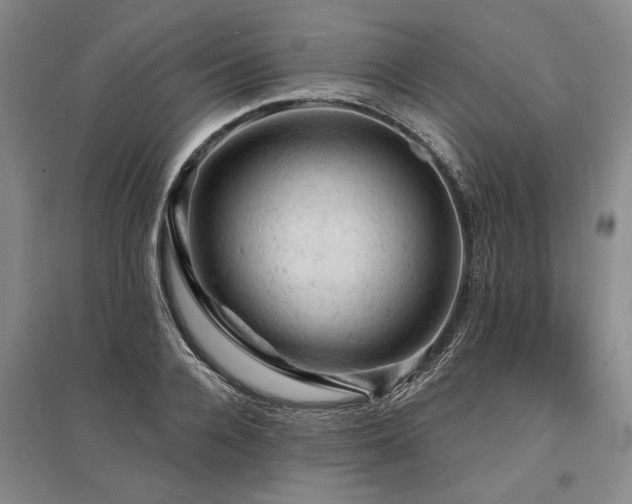 X0000095510936200712141420