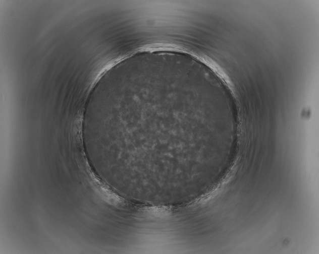 X0000095510937200712141420