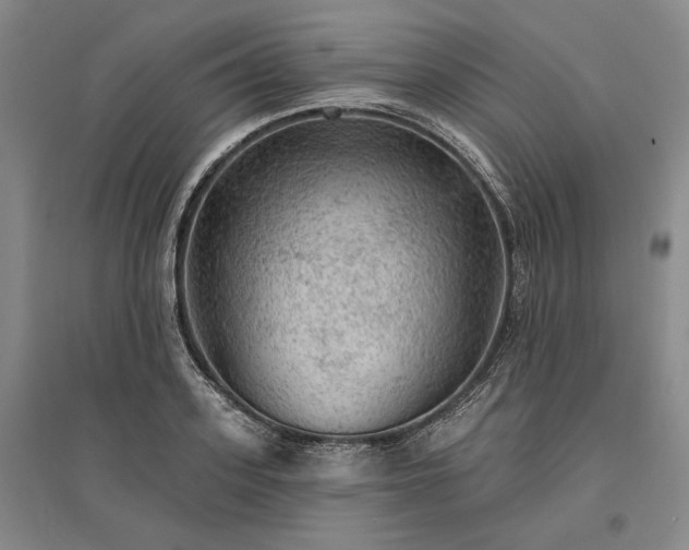 X0000095510939200712141420