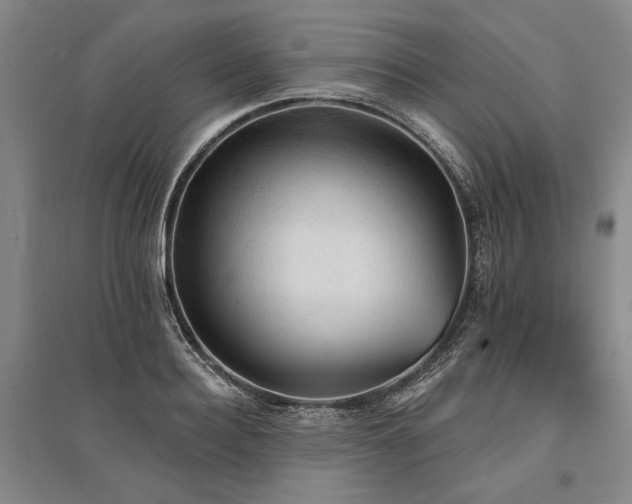 X0000095510940200712141420