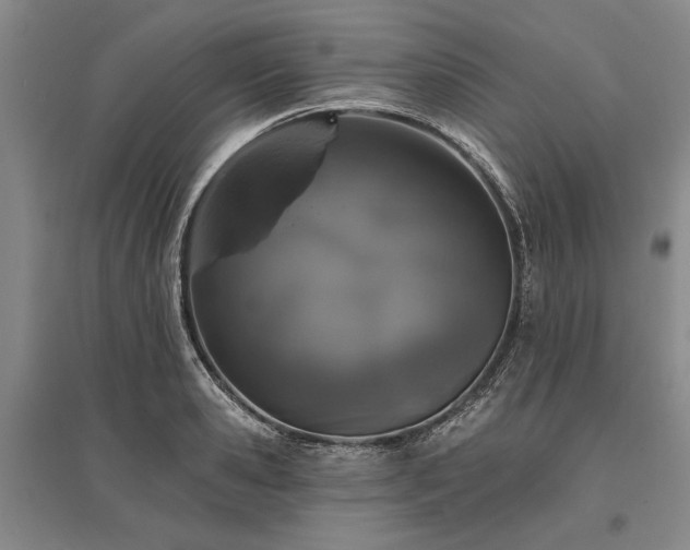 X0000095510941200712141420