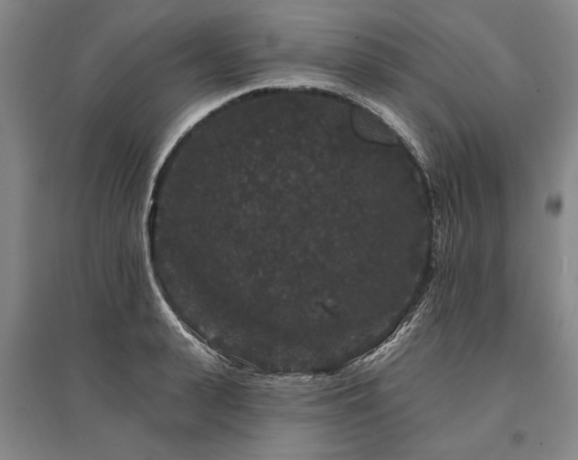 X0000095510943200712141420