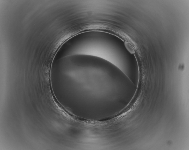 X0000095510945200712141420