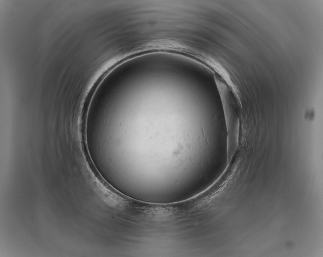 X0000095510947200712141420
