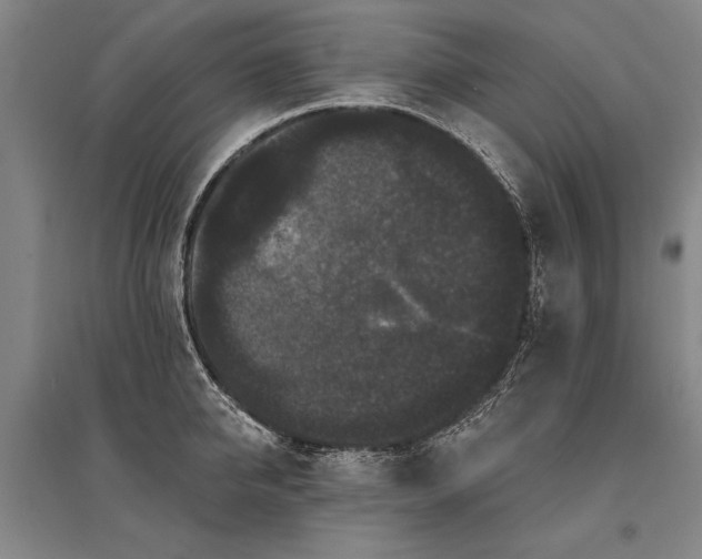X0000095510950200712141420