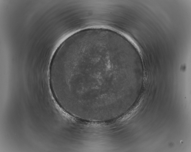 X0000095510951200712141420