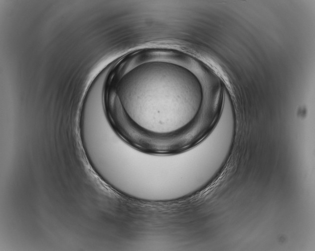 X0000095510952200712141420