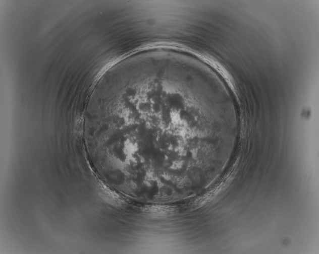 X0000095510953200712141420