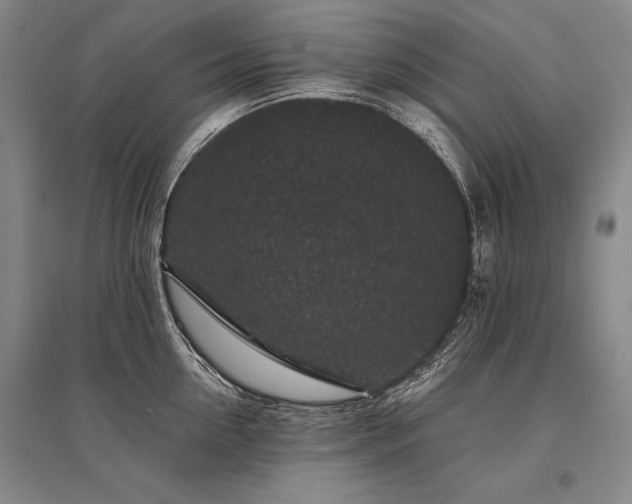 X0000095510954200712141420