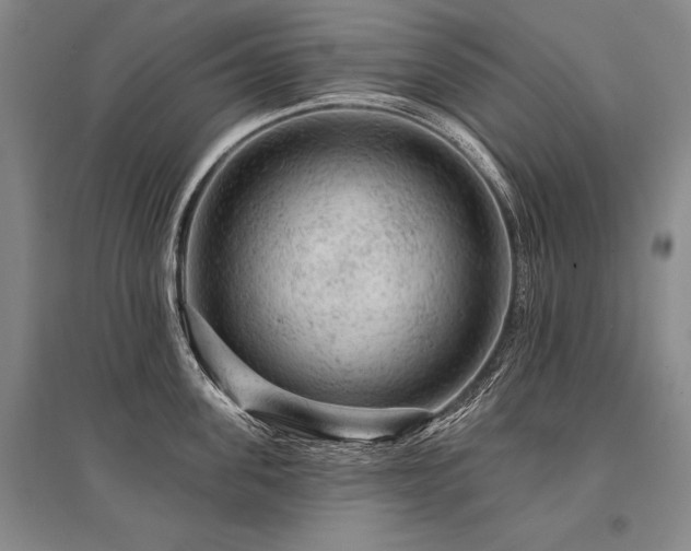 X0000095510955200712141421