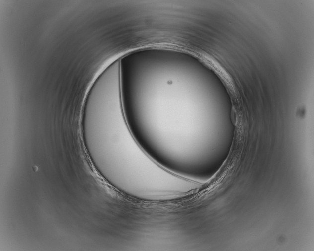 X0000095510956200712141421