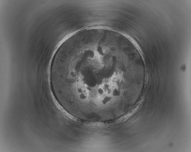 X0000095510957200712141421