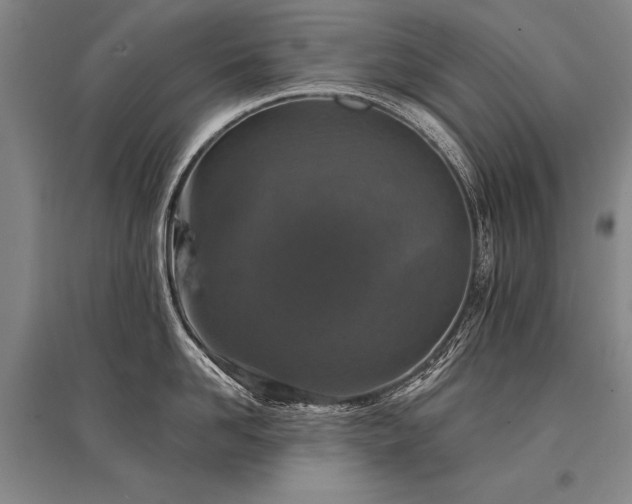 X0000095510958200712141421