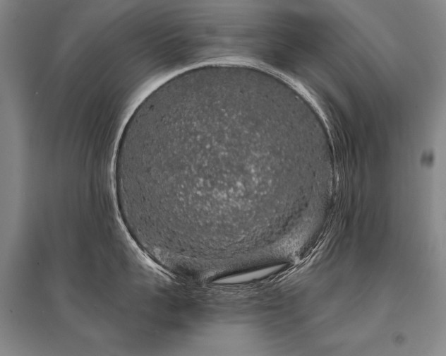 X0000095510959200712141421