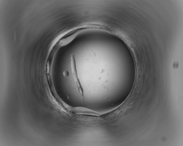 X0000095510960200712141421