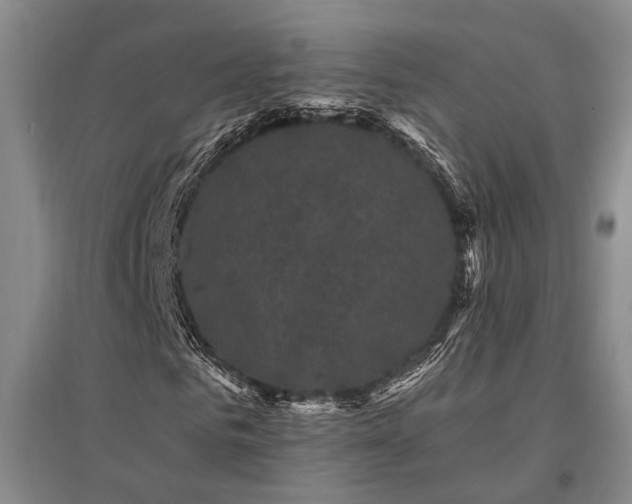 X0000095510961200712141420