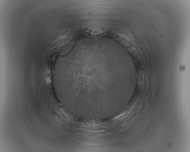 X0000095510962200712141420