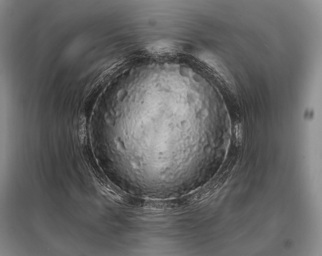 X0000095510963200712141420
