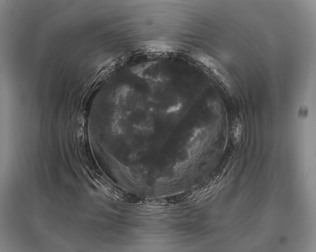 X0000095510964200712141420