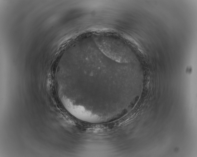 X0000095510966200712141420