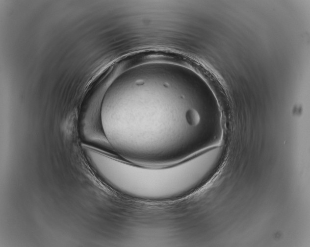 X0000095510969200712141420