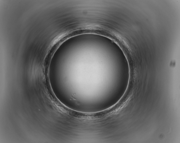 X0000095510970200712141420