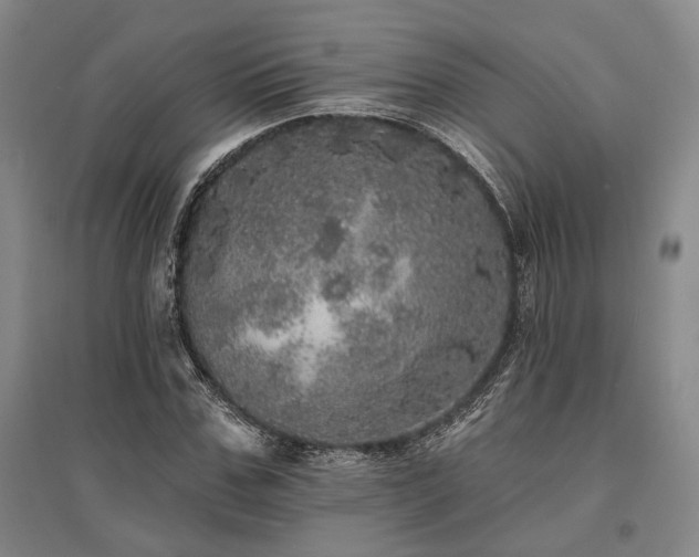 X0000095510971200712141420