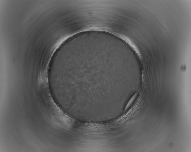 X0000095510972200712141420