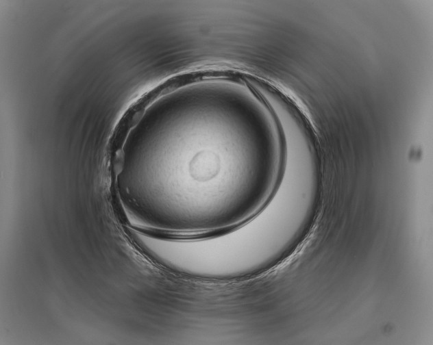 X0000095510973200712141420