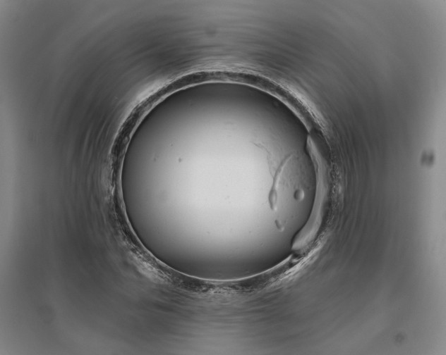 X0000095510974200712141420