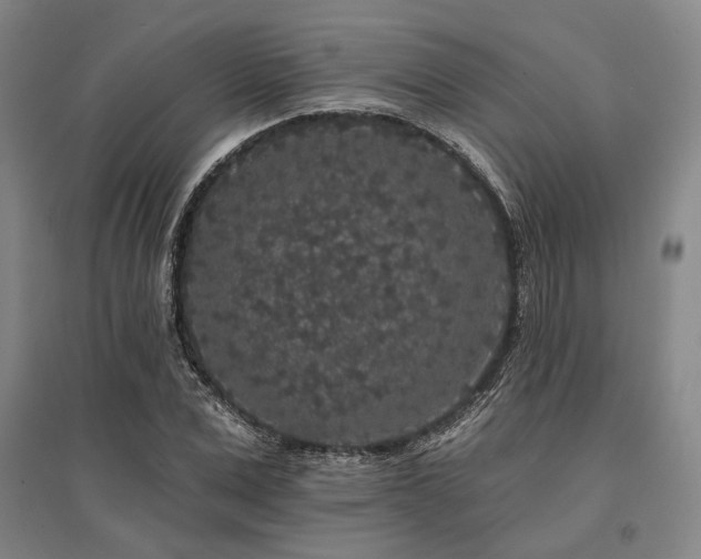 X0000095510975200712141420