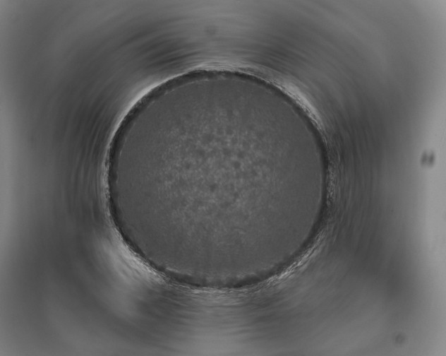 X0000095510976200712141420