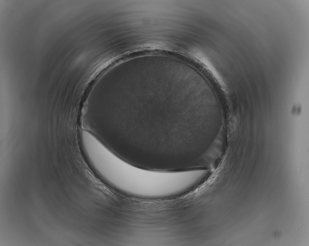 X0000095510977200712141420